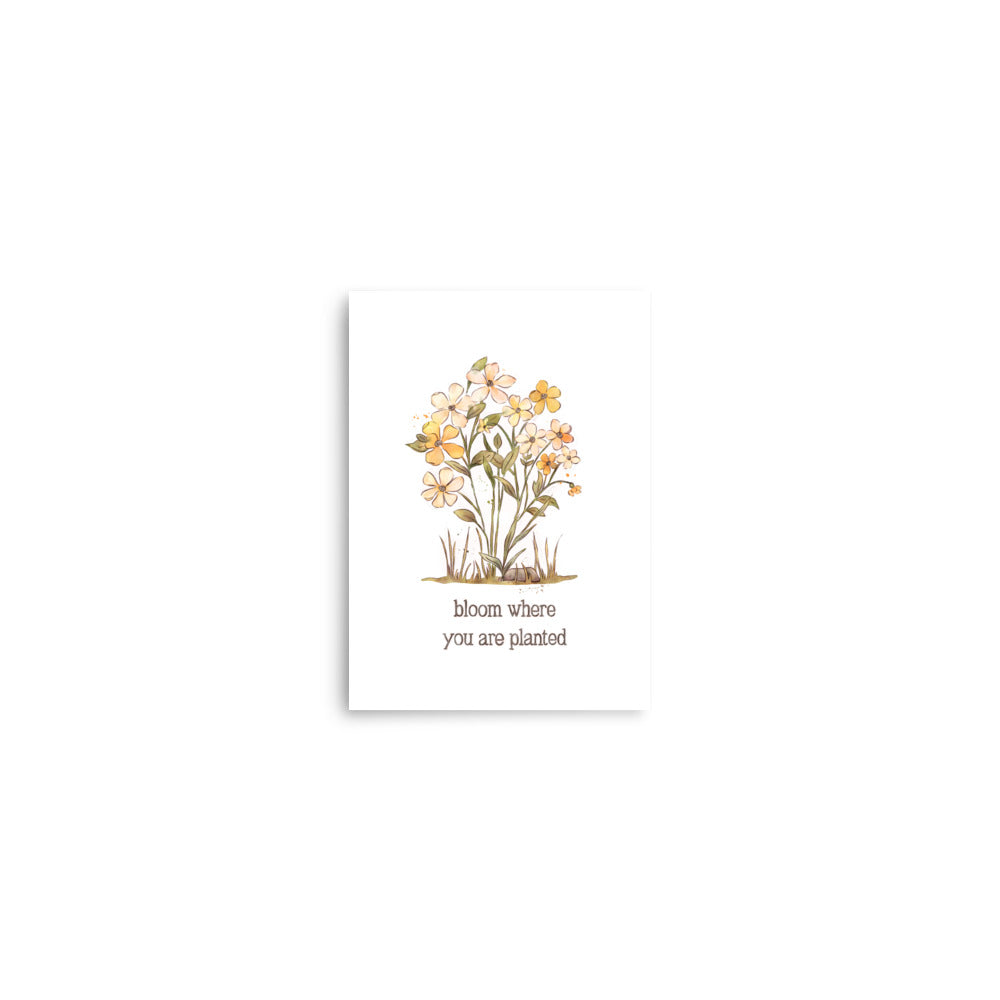 Bloom Where you are Planted : Matte Print