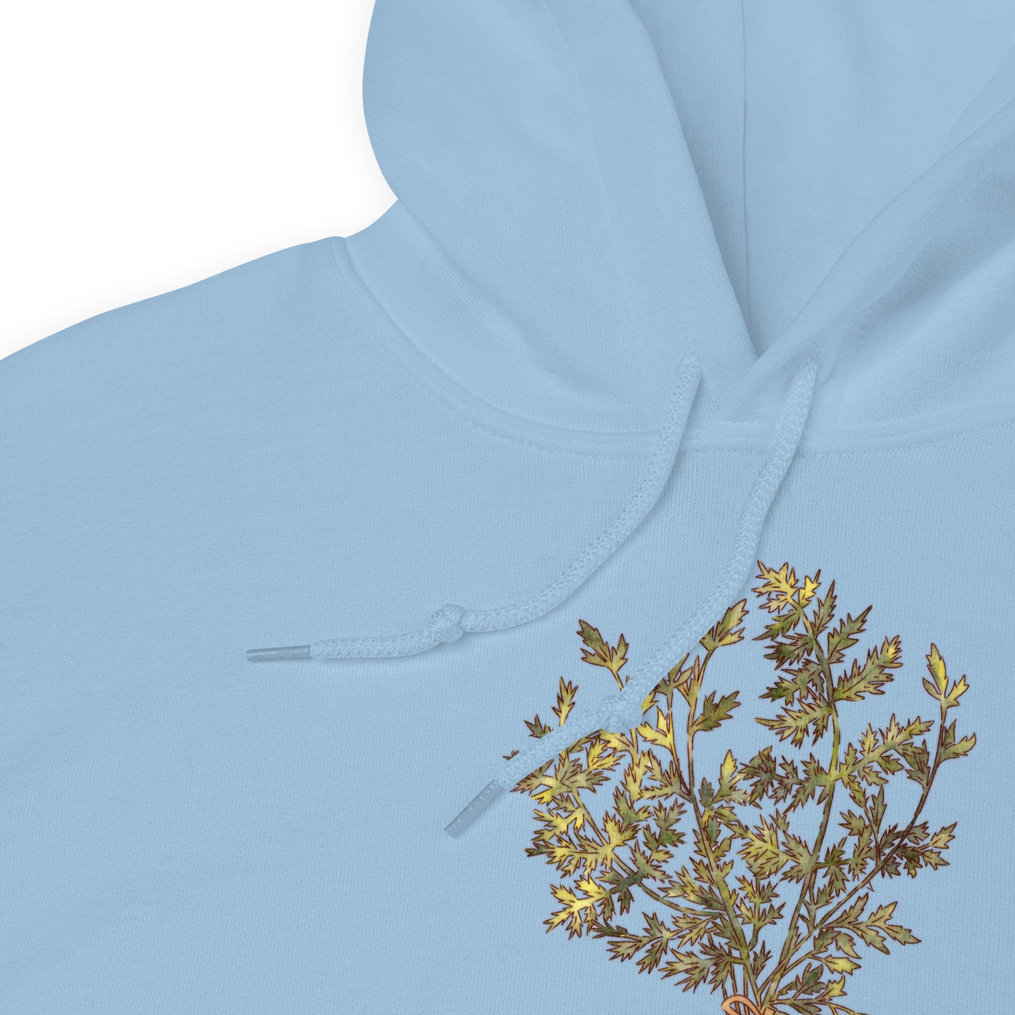 Carrots : Cozy Hoodie