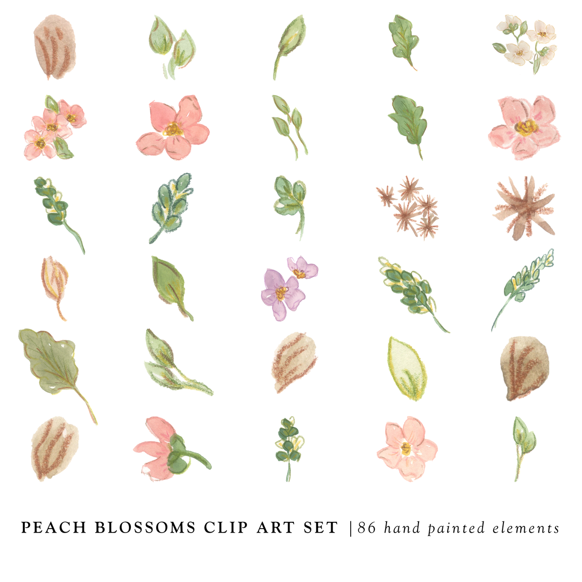 Hand-Painted Peach Blossoms Clip Art | Sweet As April