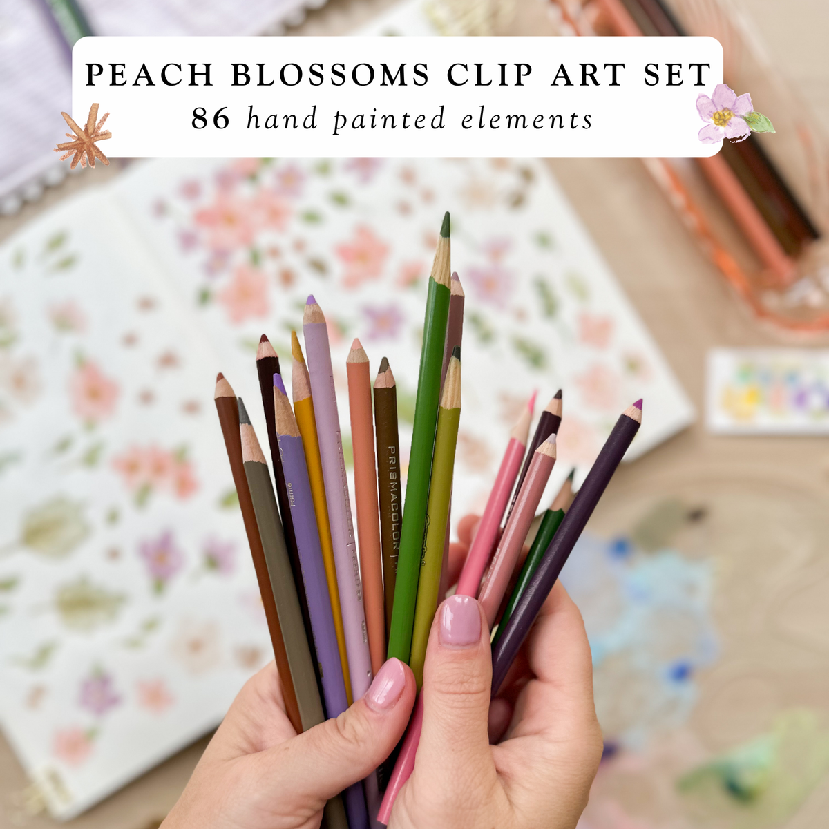 Hand-Painted Peach Blossoms Clip Art | Sweet As April