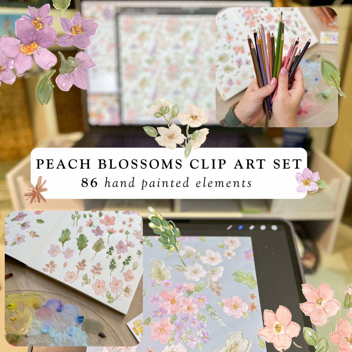 Hand-Painted Peach Blossoms Clip Art | Sweet As April