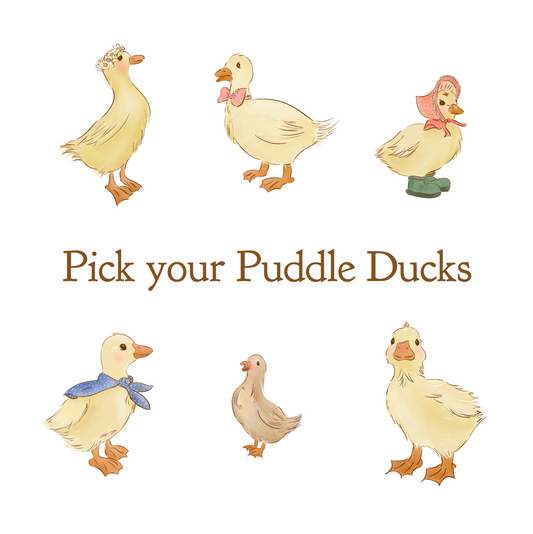 Now to pick your ducks! : Number of Ducks Fee